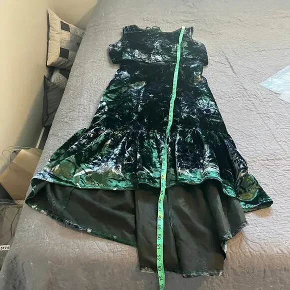 Eva Franco Green Velvet Parlor Rose Velvet
Sleeveless High Low Brie Dress 6 - Picture 8 of 10